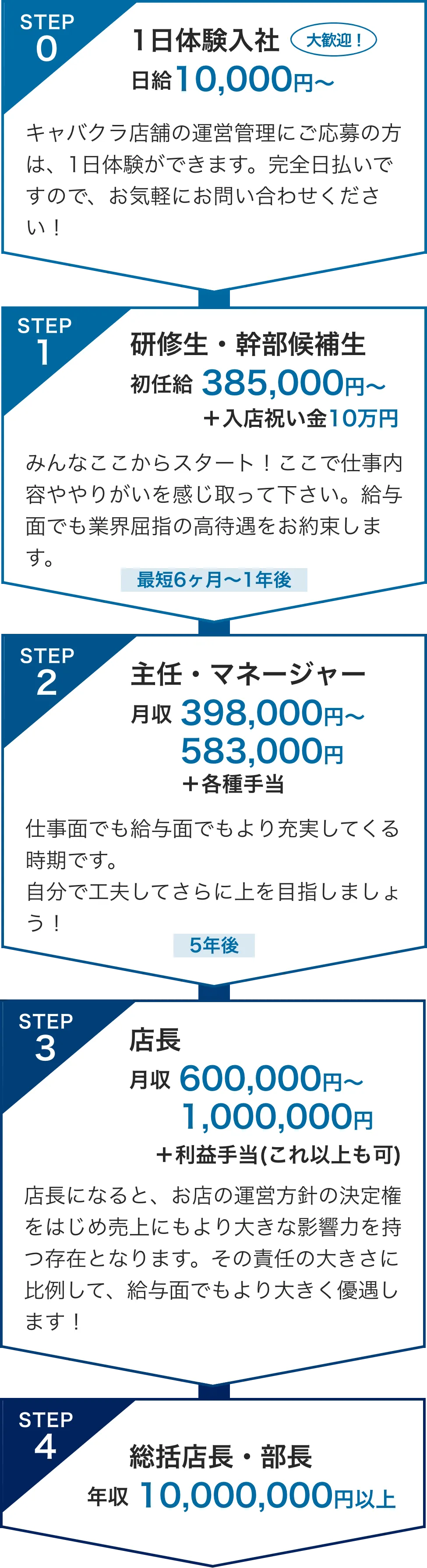 入社後のキャリアパス